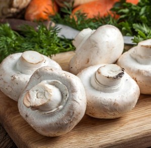 Champiñones Trifolados Logro, Agaricus Bisporus, Champiñones Horneados en Aceite, Lata de 2.5 Kg, Sabor Salado, Recetas Mediterráneas, HACCP ISO - Product Image 5