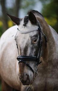 Brida de caballo de charol Mega Bling Wave Brow Band Heavy Padded Anatomic Air Pressure Headpiece Quality Horse Proveedor - Product Image 3