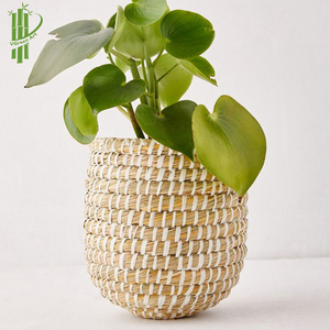 Trang Trí Trong Nhà Chậu Chậu Hoa Chậu & Chậu Hoa Lưu Trữ Trong Nhà Giá Rẻ - Product Image 4