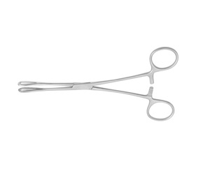 Pinces chirurgicales en éponge, sandalette de support 24.5 cm, droites, en acier inoxydable, qualité allemande, 1 pièce - Product Image 3