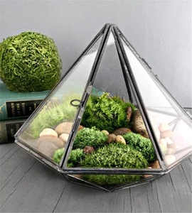 Terrario grande de vidrio y latón, contenedor de diamante para plantas, soporte botánico, maceta de exhibición, decoración geométrica única para el hogar, regalo de jardín - Product Image 1