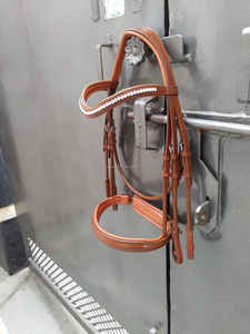 Weymouth หนังคอนยัคแบบคู่ประดับคริสตัลอุปกรณ์สำหรับม้า - Product Image 2