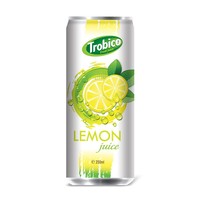 Vietnam Drank Fabrikant Oem Service Trobico Merk Tamarinde Sap Drinken 250Ml Blik
