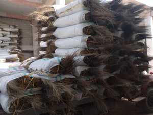 Precio más barato palos de escoba de coco/palillo de escoba de hoja de palma para artesanía Vietnam origen GGN marca - Product Image 6