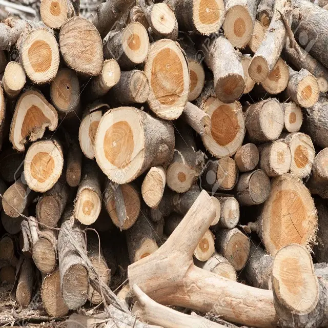 Promotion Verkaufs runde Teakholz, Kiefernholz stämme, Azobe Holzstämme zu verkaufen/100% Hartholz Eukalyptus Holzstämme zu verkaufen