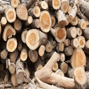 Bornes en bois de teck rond, 20 pièces, blocs de bois de pin, bois matelassé et d'eucalyptus, offre spéciale, 100%