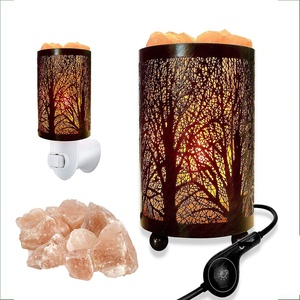 Purificador de aire natural de cesta de hierro tallado en el Himalaya con material orgánico fácil de usar para regalos de negocios Tema de amor - Product Image 3