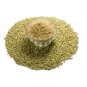 High Grade Dry Coriander Powder Factory Sale Of Dried Coriander Seed Extract Powder / Indian Dhaniya Powder