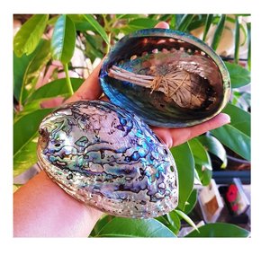 Pendentif en forme de coquille naturelle, fabrication depuis le Vietnam, 100% - Product Image 4