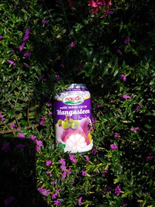 NAWON-jugo de fruta en lata de Mangosteen, el mejor fabricante de bebidas saludables de jugo tropical de Vietnam, 500ml - Product Image 5