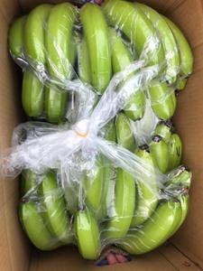 BANANE FRAIS DU VIETNAM AVEC NORME D'EXPORTATION - Product Image 5