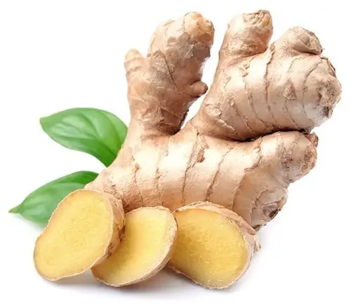 ISO certificated dried ginger root wholesale for importers - Whatsapp: +84-845-639-639