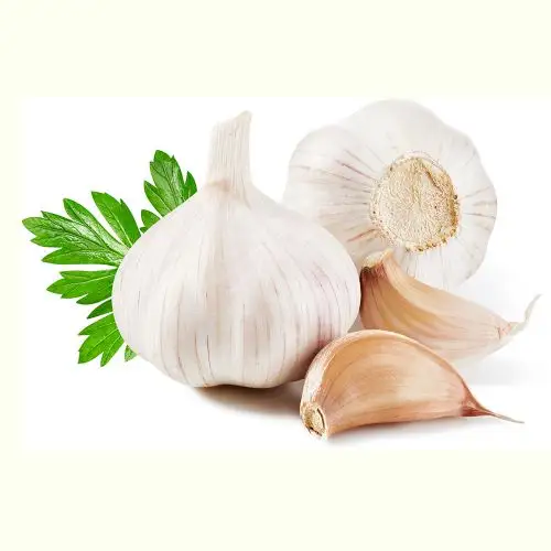 Organic fresh peeled garlic bulk