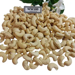 Bulk Premium Quality Raw Processing All Grade W180 W210 W320 W240 LWP Raw Cashews Nuts