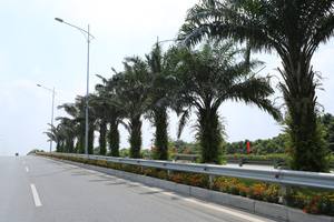 โครงสร้างเหล็กทางด่วนบนถนนทางหลวงเพื่อความปลอดภัยบนทางหลวงและทางด่วน | รั้ว-รั้ว-ป้ายบอกทาง - Product Image 6