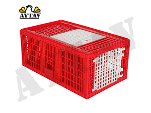 Top Side Door Chicken Transport Coop for Chicken Turkey Chick <b>Plastic</b> AYTAV Live Bird Handling Poultry Farm Transport Equipment - Product Image 2