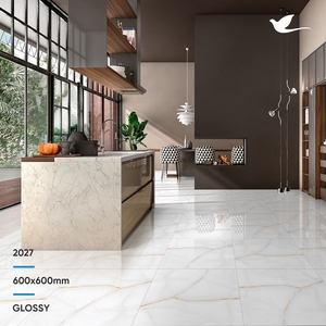 La glaçure intérieure blanche romantique de porcelaine couvre de tuiles la nouvelle conception 600x600MM d'Inde pour des murs intérieurs de villa - Product Image 6