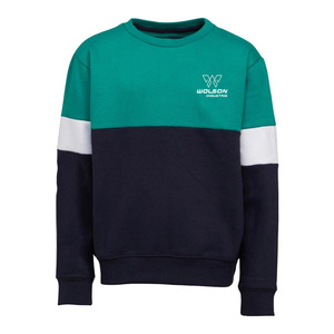 Sudadera de cuello redondo de Terry de peso pesado de alta calidad 2022 para hombre, jersey con logotipo personalizado, sudadera, diseño impreso, técnica lavada - Product Image 5