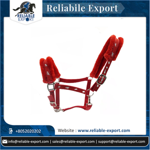 Licol de cheval en PP coloré, 1 pièce, matériau Durable, vente en gros, à bas prix - Product Image 6