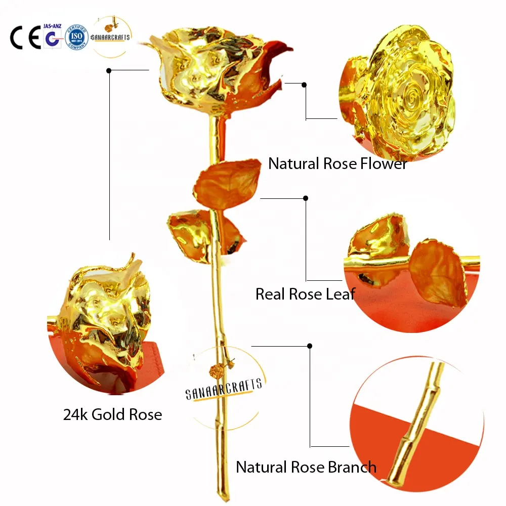 2022 Creative Natural Plated 24k Gold Rose Flower