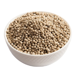 Pimienta Blanca de Vietnam de Súper Calidad, Precio Competitivo, Especia Natural para Sazonar en Restaurantes y Suministro Global - Product Image 1
