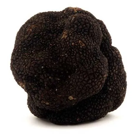 Good Quality Natural Black Truffles