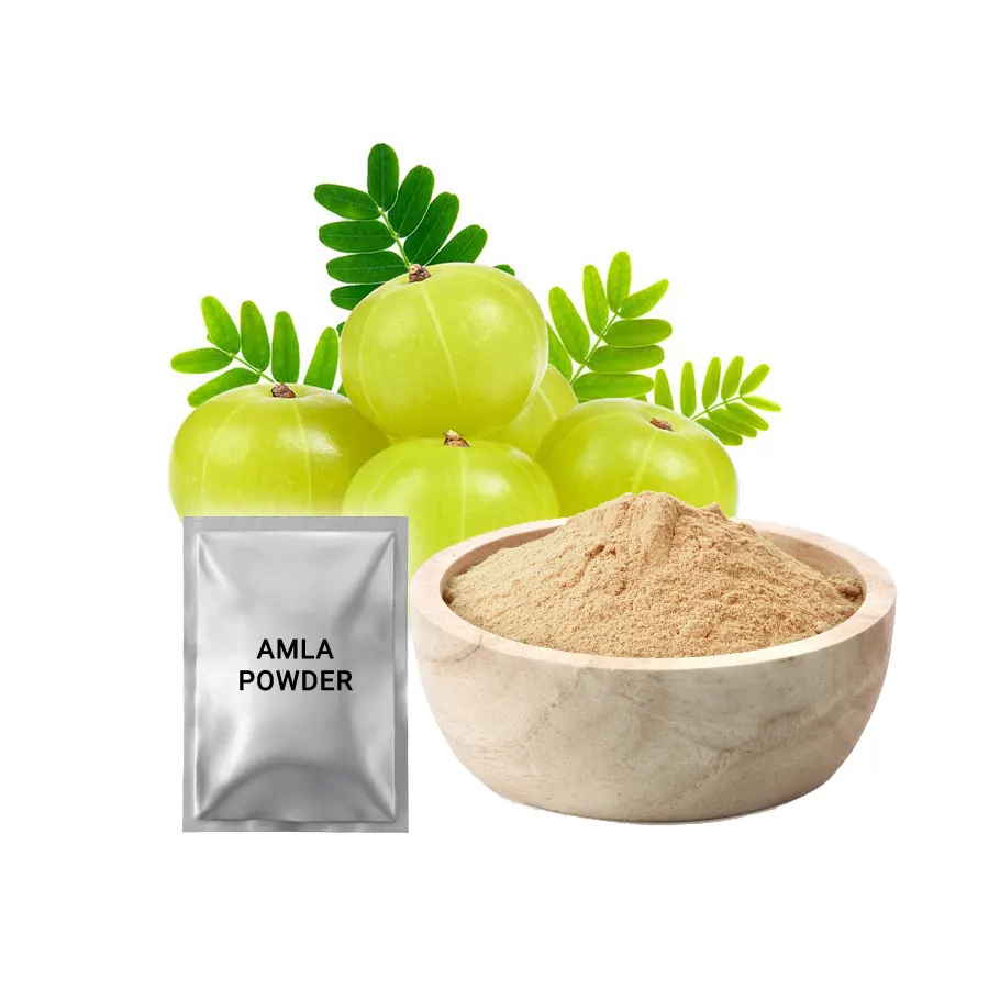 2023 Vente chaude en ligne Indian Gooseberry Finest Amla Fruit Poudre Extrait sans effet secondaire