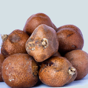 Palma Doum de Sudán de Alta Calidad, Hyphaene Thebaica - Product Image 2