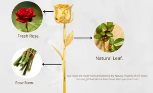 Sanaar Crafts Forever Natural 24K Gold Dipped Rose Premium <b>Gift</b> for Every Occasion Artificial Flower From Delhi - Product Image 4