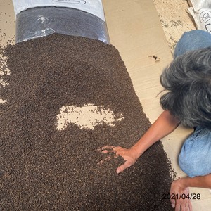 Arroz Blanco Vilaconic de Grado 1 con Certificación ISO, Secado Duro, Grano Largo, de Vietnam, Cosecha 2015-2016 - Product Image 5