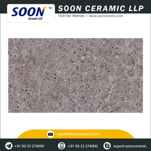 Digital Porcelain Wall Tiles 250x450 Rustic Design Outdoor Use Acid-Resistant - Product Image 2