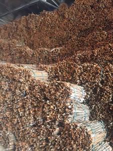 Nouvelle Récolte de Cannelle Cassia Épicée du Vietnam AD, Épice Séchée en Morceaux, Traitement Brut, pour la Marque Certifiée Phalco - Product Image 3