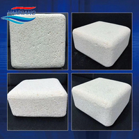 Bicône soluble haute Performance, réducteur de nitrile, Bio bloc magique d'aquariums produits