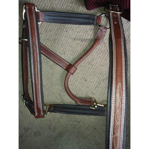 QUIERO VENDER Fancy Leather negro Halter Top dorado EN DÓLARES 6 full COB Shetland - Product Image 3