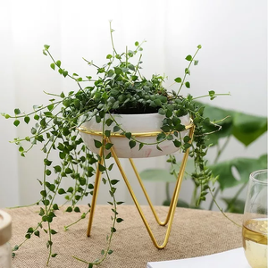 แพลนเตอร์ชุดสามการออกแบบใหม่พร้อมขาตั้ง - Product Image 6