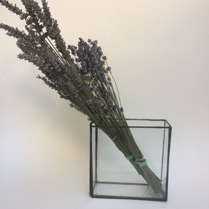 Terrarium เรขาคณิต/Terrarium สแควร์/Terrarium/แก้วชาวไร่/แก้วดอกไม้/แขวนผนัง Terrarium/Terrarium - Product Image 1