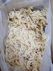 Alga Marina Seca Musgo Irlandés Gracilaria Ogonori Seamoss Gulaman/Precio Más Competitivo en Vietnam // Rachel:+84 896436456 99 Gold Data - Product Image 5