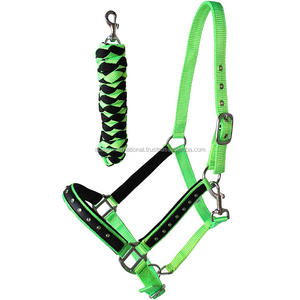 Caballo ecuestre duradero ecológico de alta calidad, Halter de nailon, acolchado suave de neopreno, accesorio de latón, fabricante de logotipo personalizado - Product Image 3