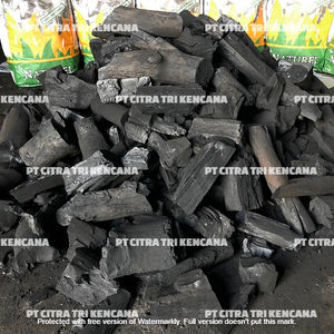 GRILL d'extérieur pour 40 personnes, ustensile à charbon de bois naturel léger et instantané, accessoire pour BBQ de fruits et de charbon de bois dur, usagé de brillante, idéal pour l'europe ou l'afrique - Product Image 6