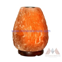NOUVEAU PRODUIT PHARE : Lampe de Sel de l'Himalaya / Diffuseur d'Arômes Écologique Fait Main, Purification de l'Air au Toucher Réel, Parfum Marque MRPL