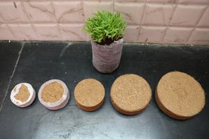 แผ่นกาบมะพร้าวและแผ่นโคโค่และจิฟฟี่ - Product Image 6