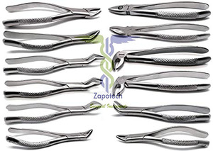 ชุดคีมถอนฟันคุณภาพสูง 10 ชิ้น - Product Image 5