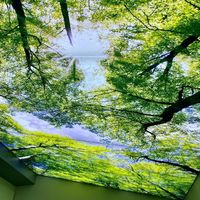 2025 Foxygen Marque Décoratif Intérieur Plafond Tendu Desgin Lambris PVC Plafond Tendu Arbre et Fleur Design pour Salon