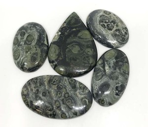 Cabujón de piedra Natural para fabricación de joyas, piedra Natural de Kambaba, jaspe, forma libre, GEMA, tamaño libre, precio al por mayor - Product Image 1