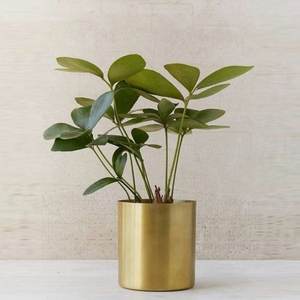 กระถางดอกไม้ทองเหลืองชิ้นเดียว,สำหรับสวนและกลางแจ้งกระถางดอกไม้ทองเหลืองขัดเงาทำด้วยมือสำหรับตกแต่งสินค้าขายดี - Product Image 3