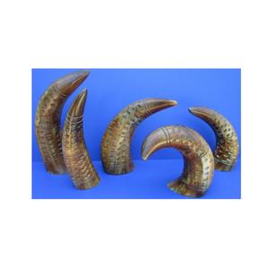 Bocina decorativa para dormitorio, bocina de búhos sin pulir, artesanía Natural, oferta - Product Image 1