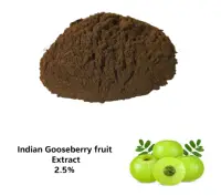 High Quality Low Price Indian Gooseberry /Kiwi Fruit Powder
