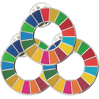 Épingle à revers SDG personnalisée de haute qualité