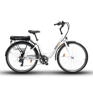 最高品質の長距離新モデルウォーカーバグZF6Ebike電動自転車36v250wトルコ製