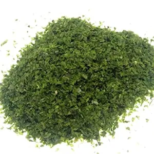 干绿海藻粉/ULVA LACTUCA/AONORI用于牛饲料